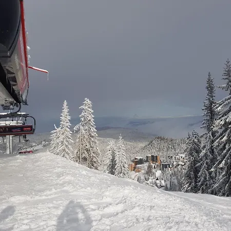 5t Jahorina