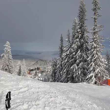 5t Jahorina